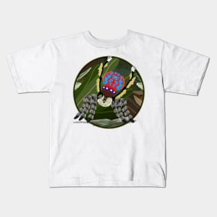 Maratus bubo spider No text Kids T-Shirt